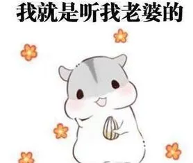 老婆表情包关于老婆的表情图片