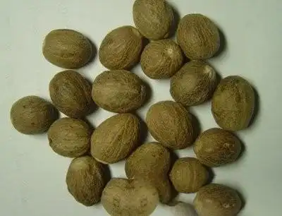 豆蔻是什么(豆蔻是什么年龄的女子)