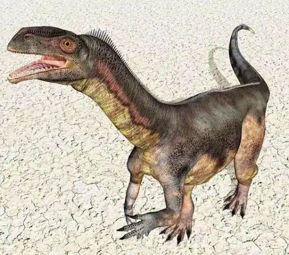 三叠纪最大的恐龙板龙