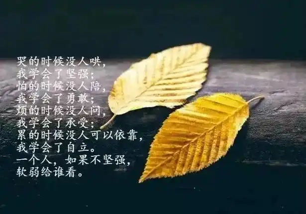 励志感悟15句哲理简短感悟句子感悟人生的经典短语