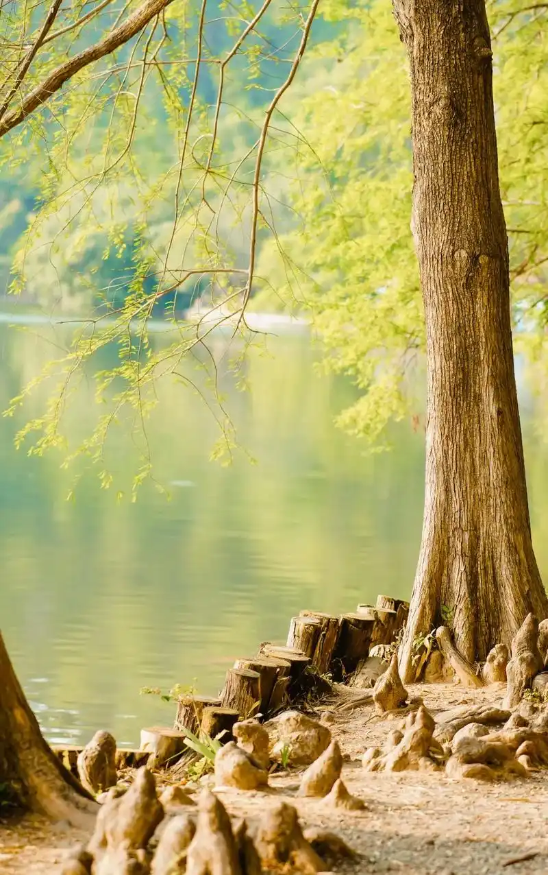 随便拍拍.夏天#治愈系风景 #寻找鹏城最美春天 #摄影 #拍 - 抖音