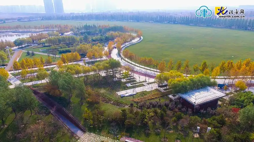 鸟瞰武清商务区公园秋景景色宜人16