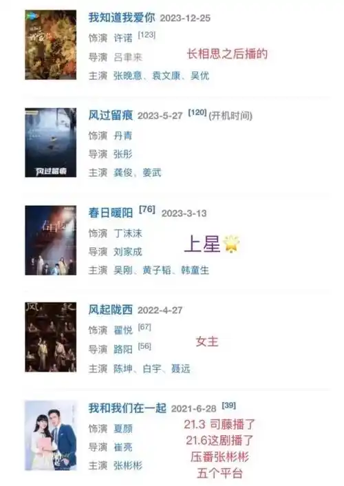 她与张晚意,张若昀等人的合作,以及与钟汉良主演的《凉生,我们可不