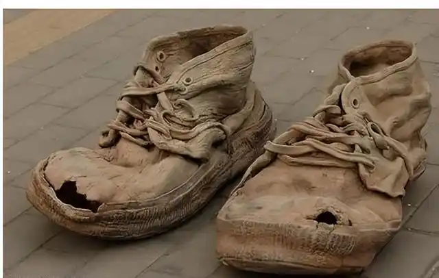 80万的耐克鞋有几双(一双破鞋售价高达1.2万元)(3)