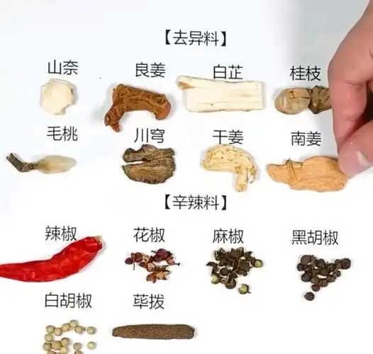 喜欢炖汤做美食的人有福了,最详尽的药材使用方法,网友:厉害了