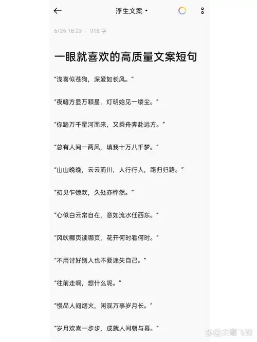 一眼就喜欢的高质量文案短句