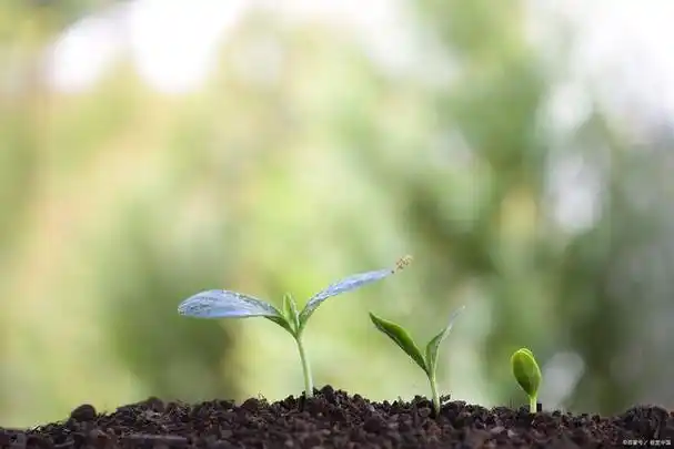 然而,正是在困境中,我们需要懂得勇敢面对,去迎接未来,寻找希望之光.