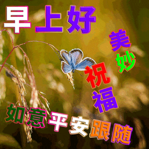 早上好问候语句子动图表情图片积极阳光的早安祝福经典语录