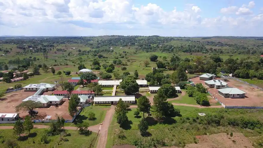 非洲乌干达经济怎么样(乌干达的经济怎么样)_软猪手游网