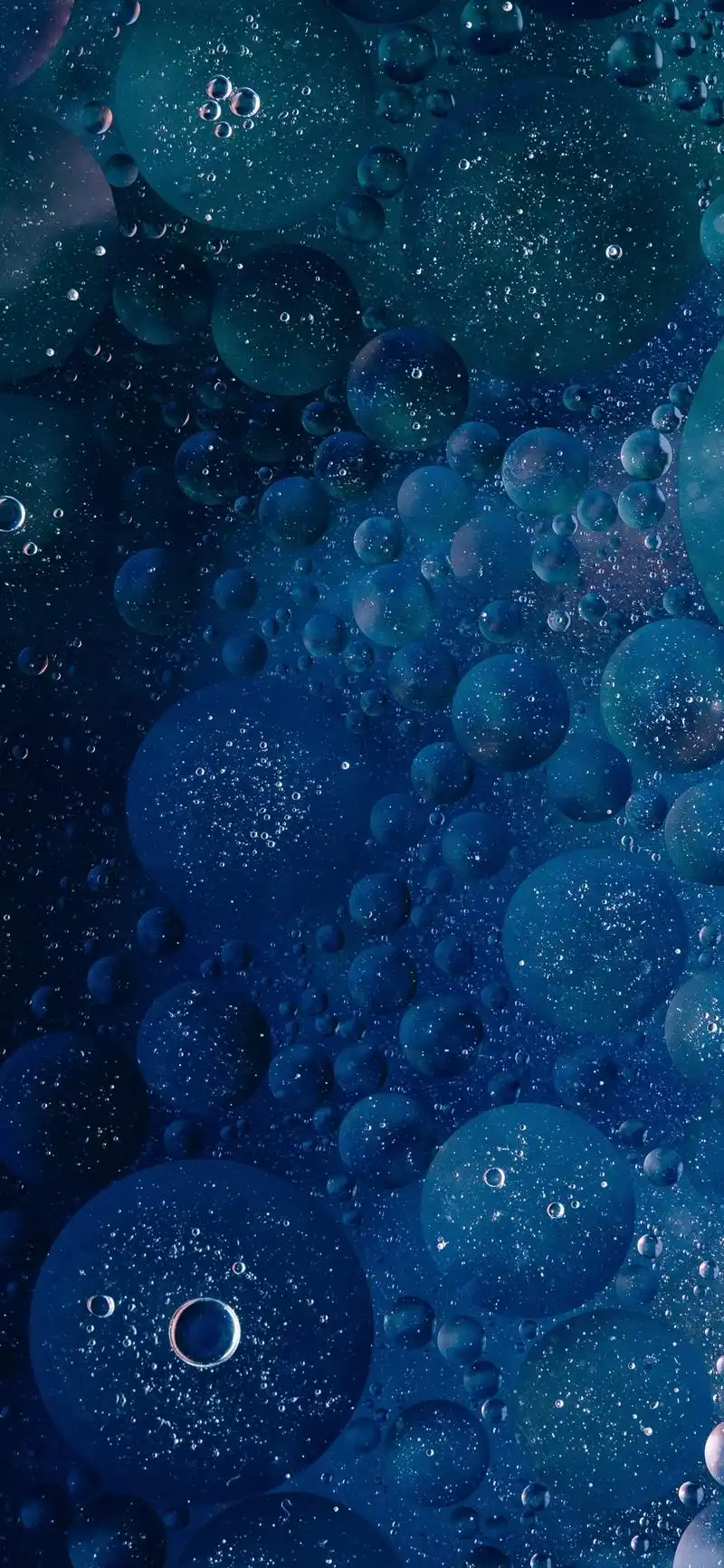 手机全面屏2k高清壁纸