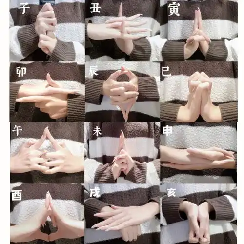 火影结印手势全集