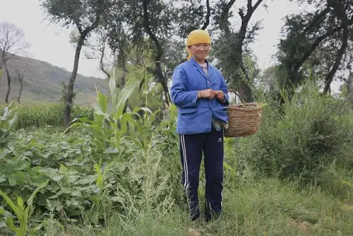 村里的女人们(21)