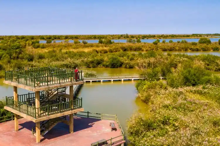 2018年黄河口生态旅游区新生湿地5