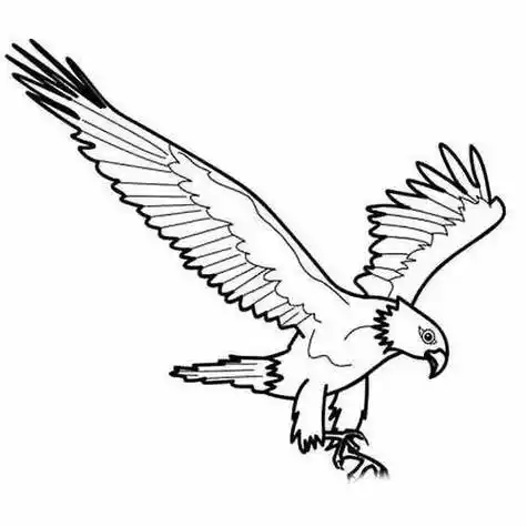 老鹰的机器人的简笔画