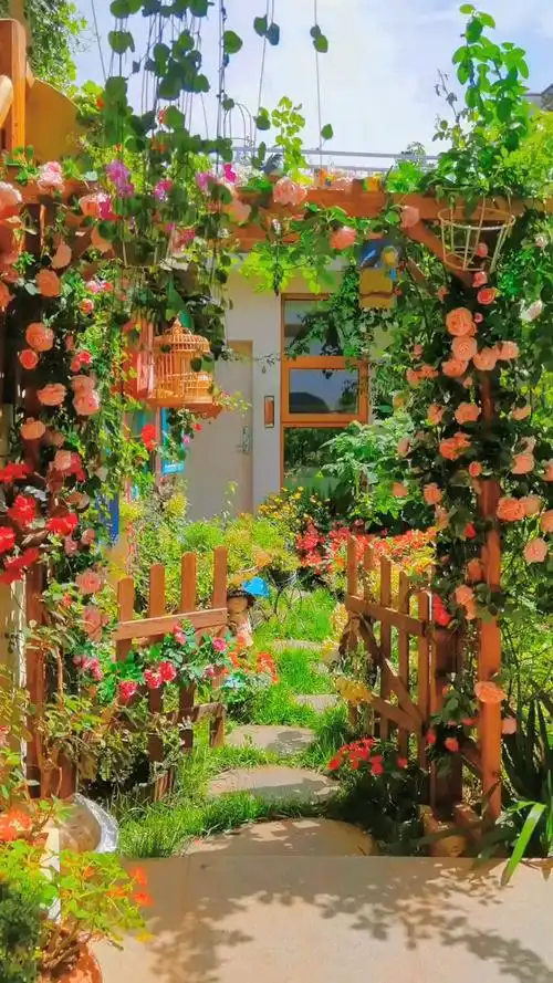 丽江爱丽丝梦游仙境般的花园民宿