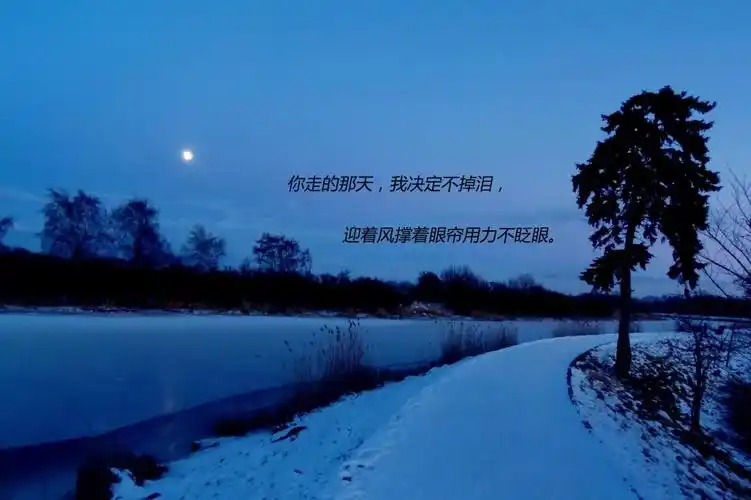 失望放弃的图片带字