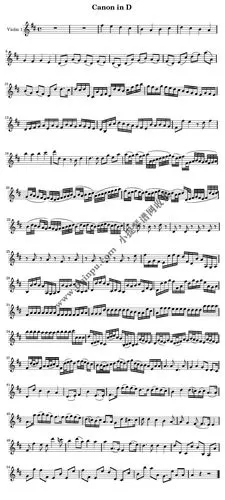 卡农,天空之城小提琴五线谱