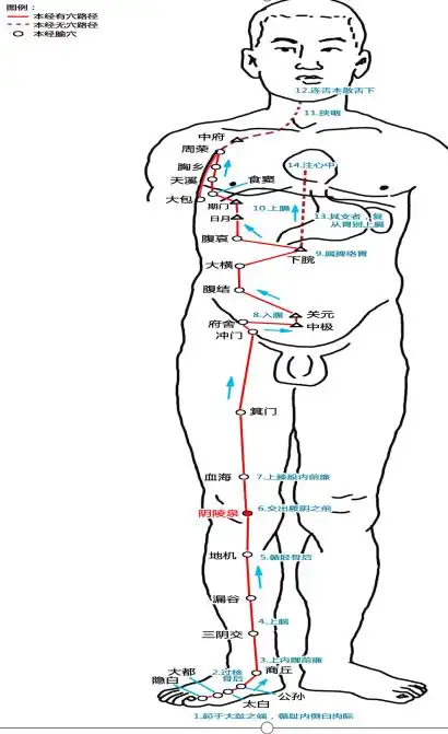 倪海厦人纪系列针灸篇笔记之4足太阴脾经