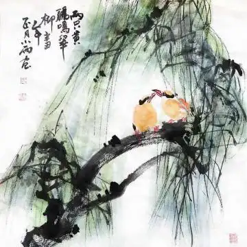 周小雨国画花鸟两只黄鹂鸣翠柳字画之家