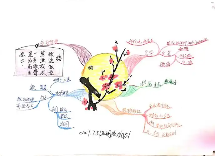 文魁派臧亚洲思维导图武林计划no51四君子之梅花