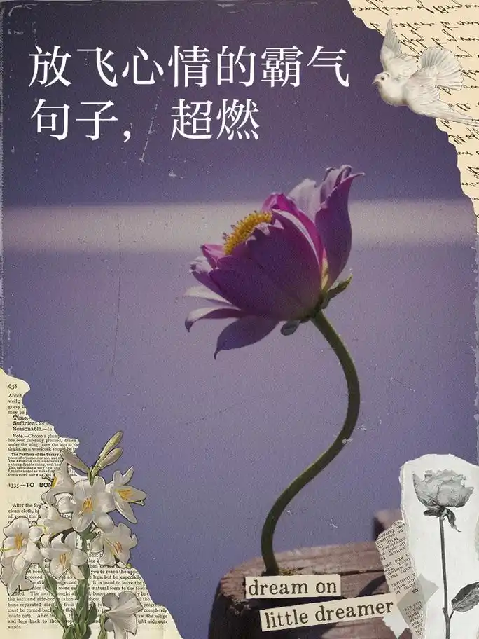 放飞心情的霸气句子,超燃