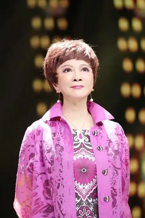 回顾丁丁36岁仍未婚蔡明逼婚太心急竟险些逼成母子抑郁