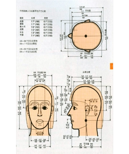 人体头部比例,适用于头部产品设计开发用