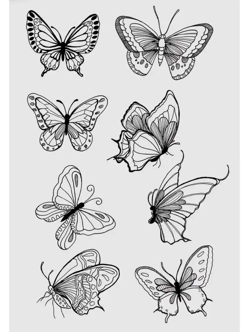蝴蝶线稿素材 线条练习 蝴蝶的各种形态