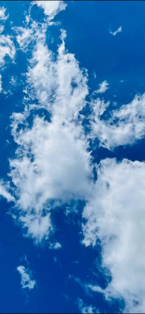 蓝天白云阳光的日子又回来啦,瞬间心情美美哒!早上好00