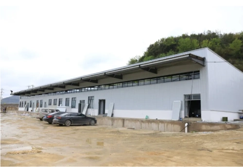 普定肉兔屠宰厂目前正在建设中