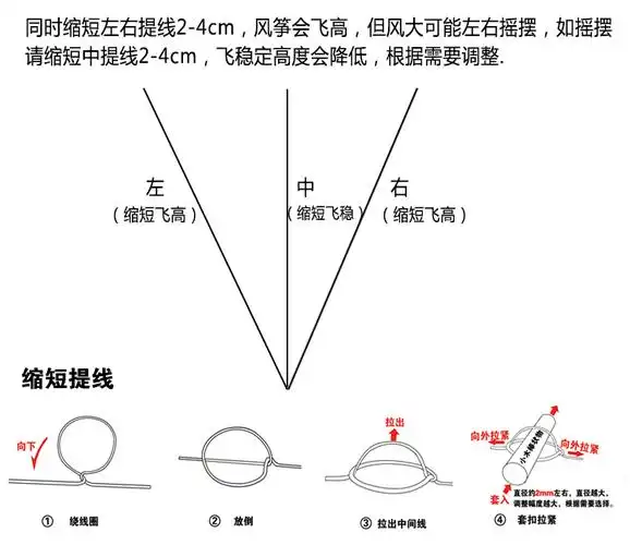 风筝大型高档成人特大5米10专业带收纳3d立体大型软体7平10平16平伞布