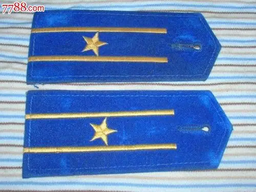 空军肩章一对