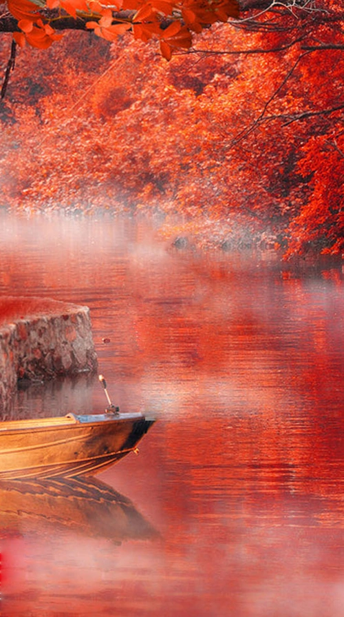 秋季红色枫树林风景 - 当图网