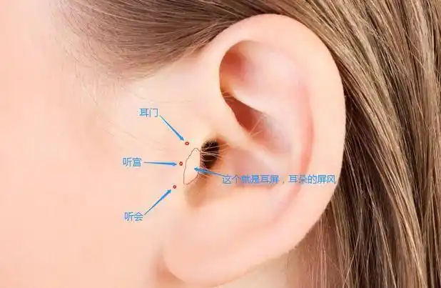 听宫穴在耳朵的屏风前耳聋耳鸣面瘫牙痛和癫痫