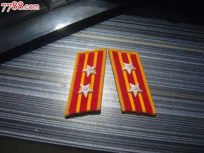 好品58式中校领章