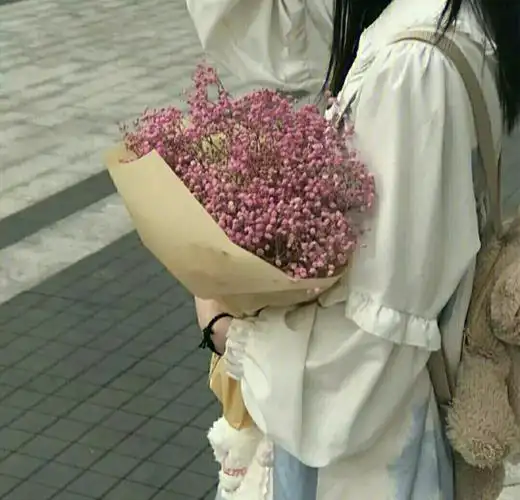 女头拿花满天星文案