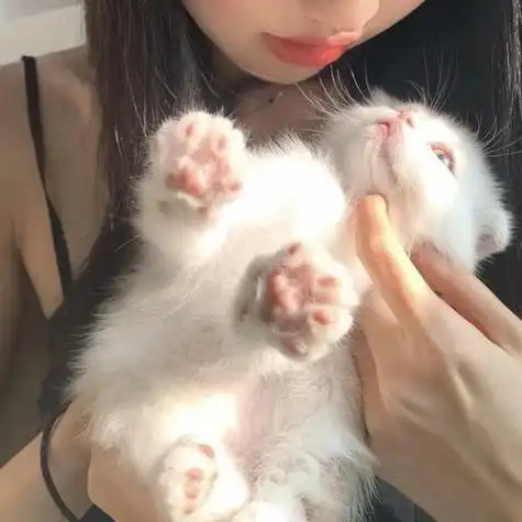 女生头像抱猫