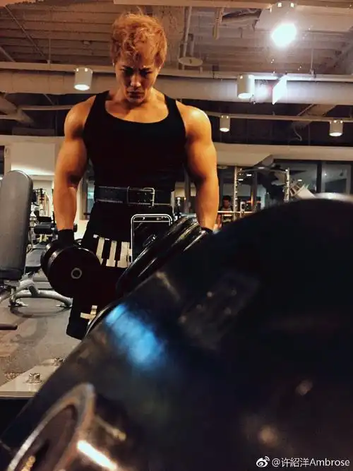 许绍洋的健身房