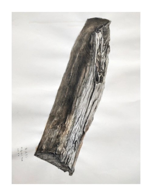 精微素描作品木头