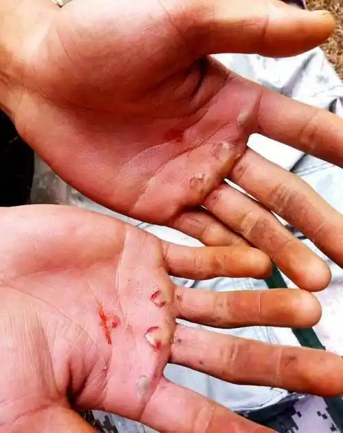 从不喊一声苦的那个_王先林_训练_比赛