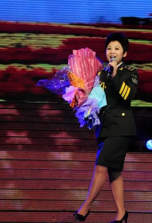 22岁嫁初恋,23岁爆火,38岁跌落神坛,董文华怎么样了?