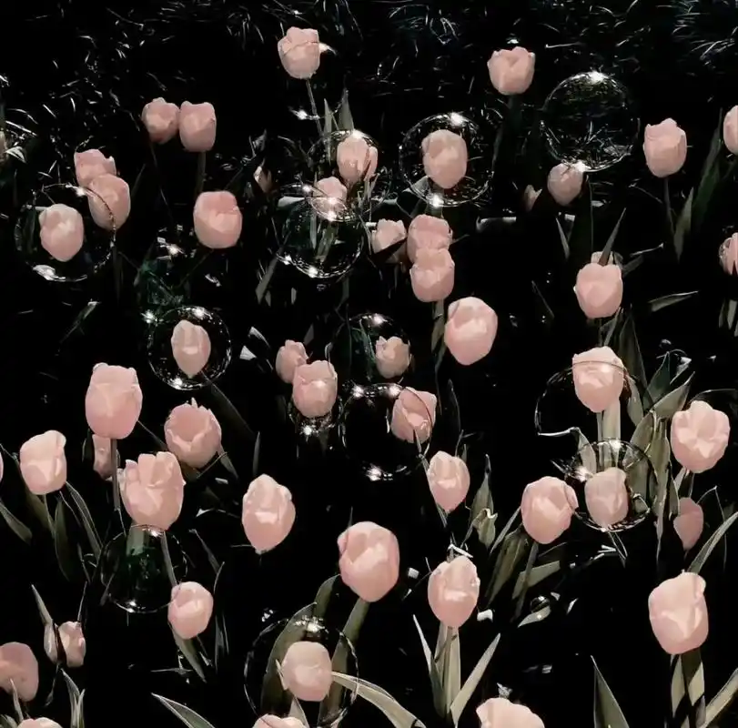 朋友圈背景图丨有格调的小众背景图 #朋友圈背景图# #背景图分享