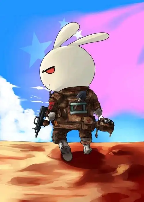 兔子那帅气的迷彩服,一副不服来战的英雄气概!