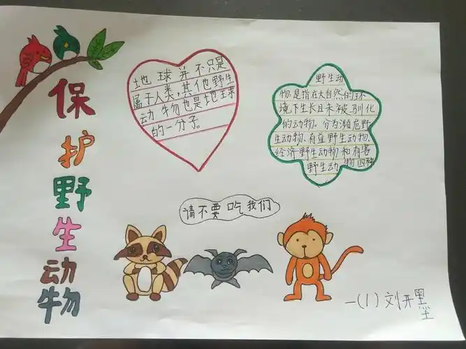 敬畏生命,保护野生动物——榆林高新小学一年级一班手抄报