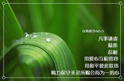 【图集】10句圣经金句教导你如何与人相处