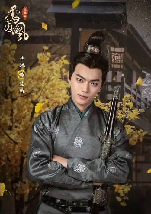 沈遇角色介绍_凤囚凰演员表沈遇_电视剧_吉剧网