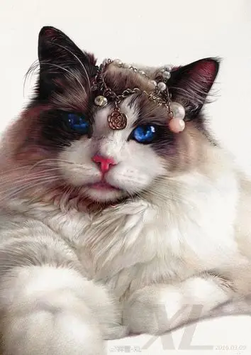 彩铅高级课程-第二期