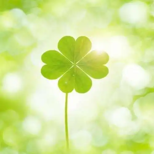 充满正能量阳光向上有朝气的图片头像