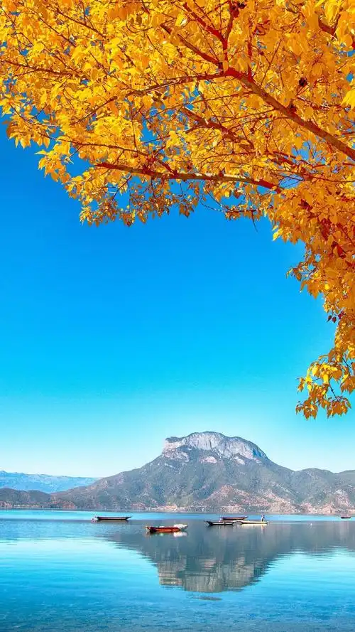 1080_1920竖版 竖屏