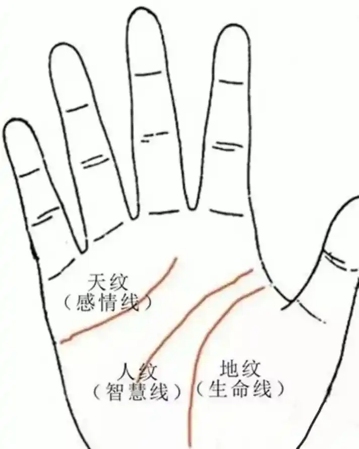 六种发财的手纹.志向远大,财富满满#掌纹的秘密 #国学文化 - 抖音